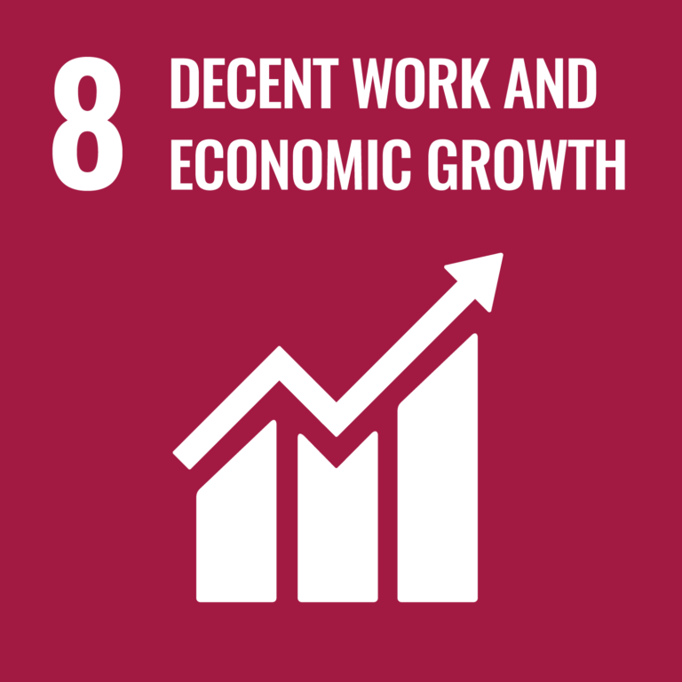 SDG #8 Decent Work and Economic Growth